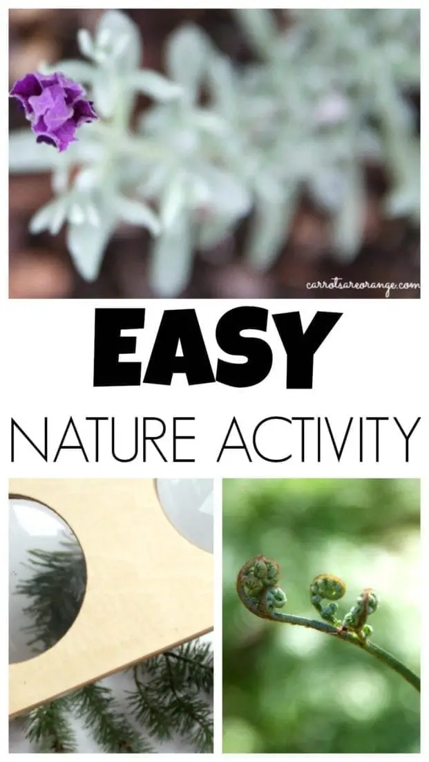 EASY NATURE ACTIVITY FORKIDS