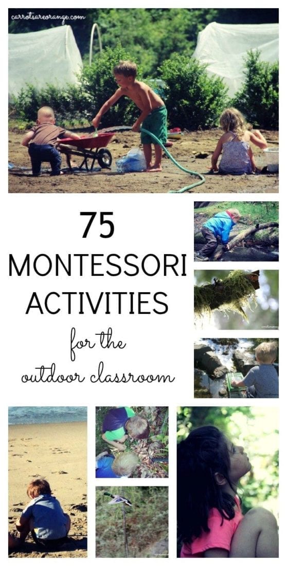 Outdoor Classroom Ideas: Learn 75+ Activities for Your Learning Environment