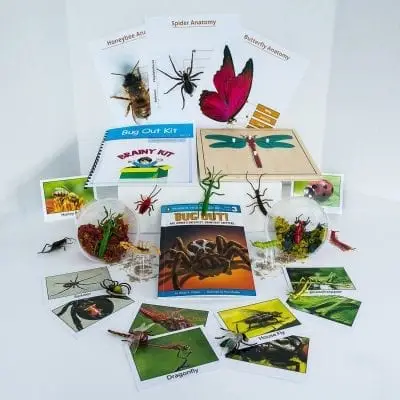 An awesome learning kits for kids! The Brainy Bug Out Kit!