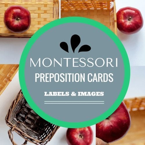 Montessori Preposition Cards