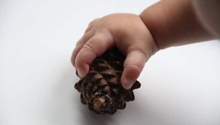Toddler & Infant Activities Bring Nature Indoors