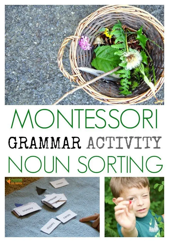Montessori Grammar Activity