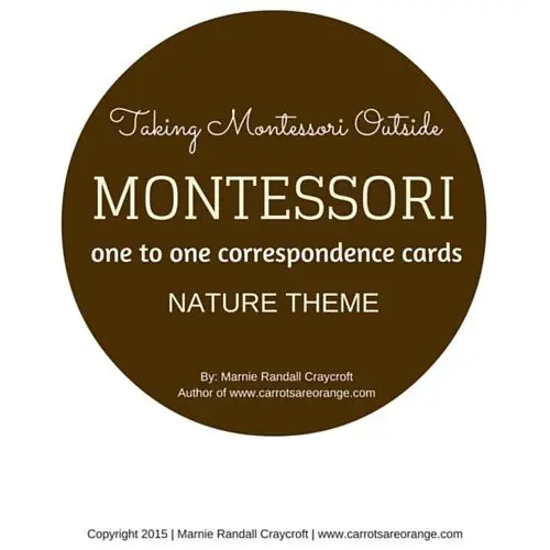 Montessori Math One to One Correspondence 