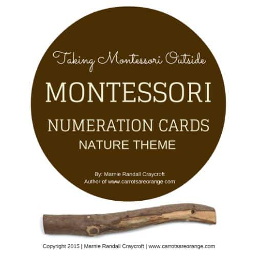 Montessori Nature Numeration 