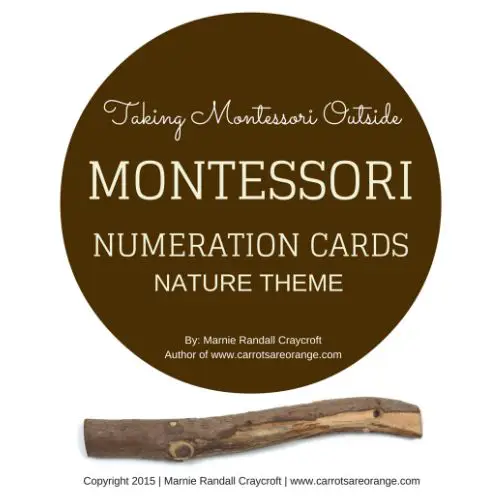 Montessori Nature Numeration 