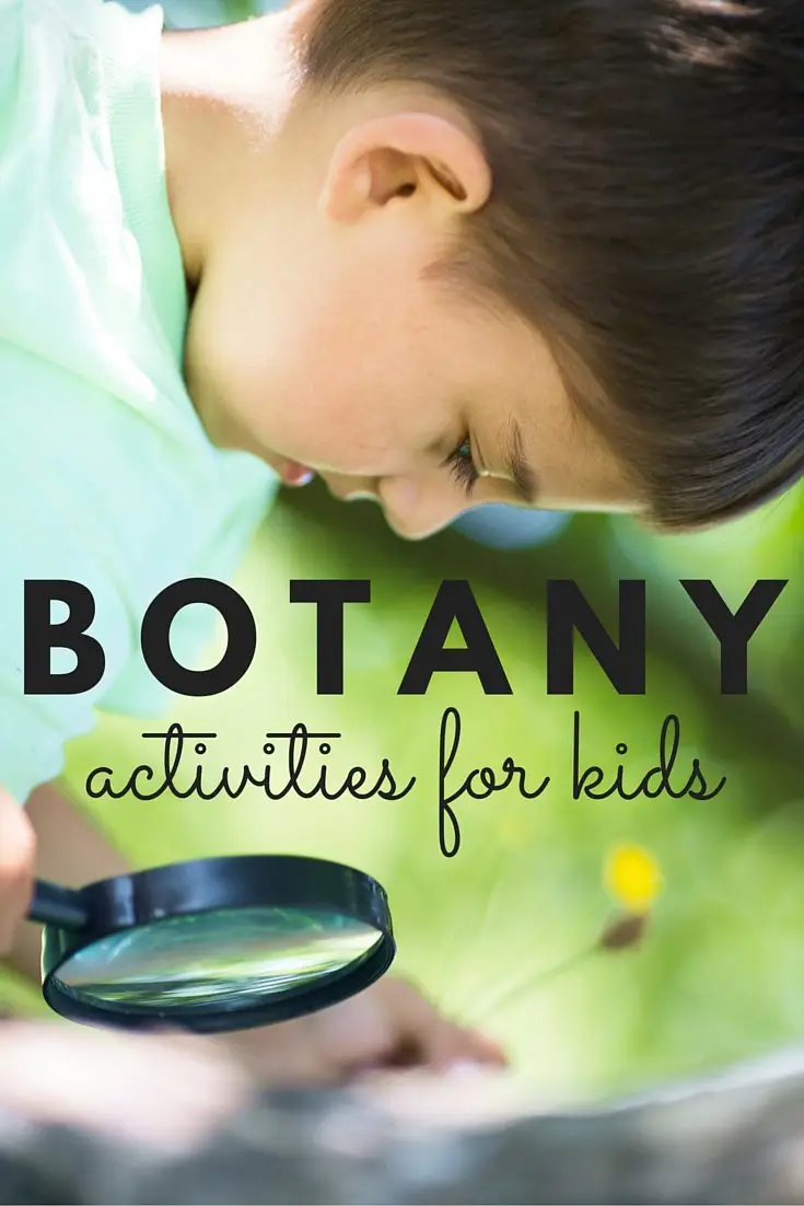 Rock Star Botany Activities for Kids TEXT