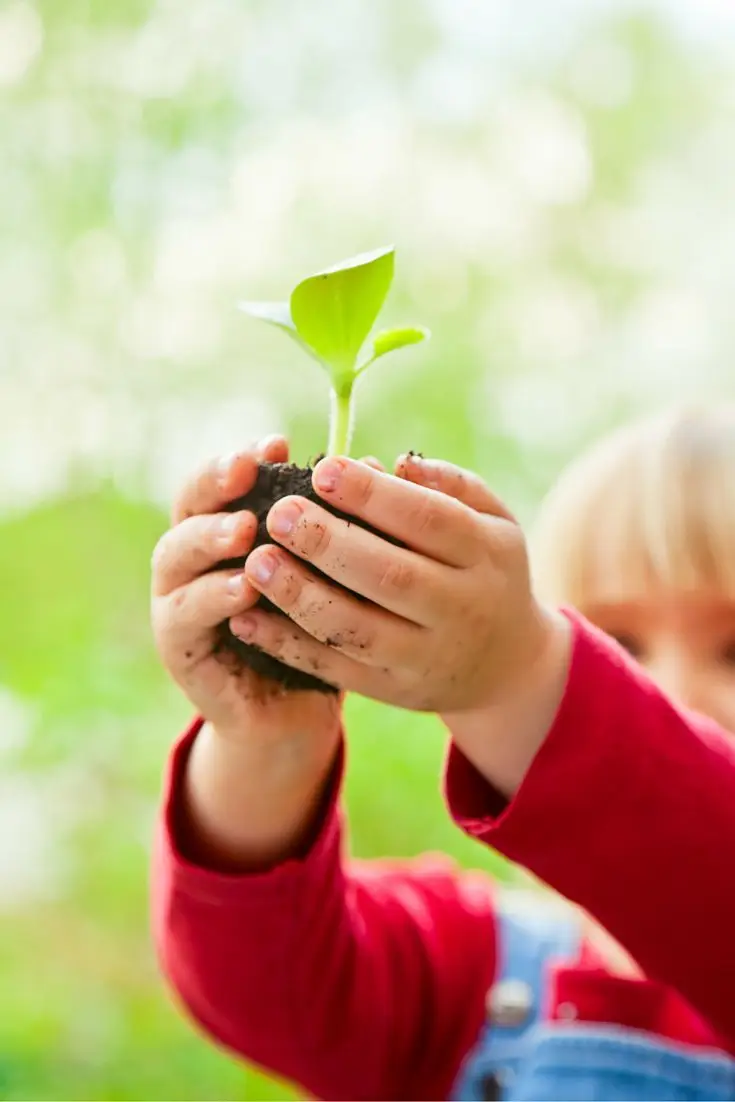 Botany for Kids - 12+ Awesome Activities 