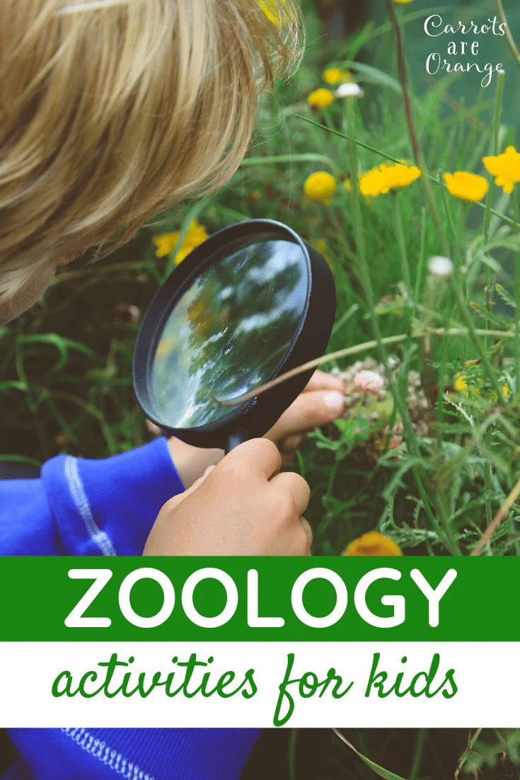 12 Super Fun & Absolutely Easy Zoology Activities for Kids