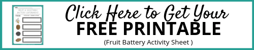 Fruit Electricity Activity Sheets