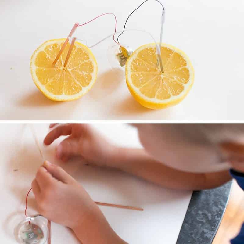 Check out a classic science activity for kids! Teach kids about electricity with a lemon battery! Fruit electricity will hook kids on wanting to learn more! 