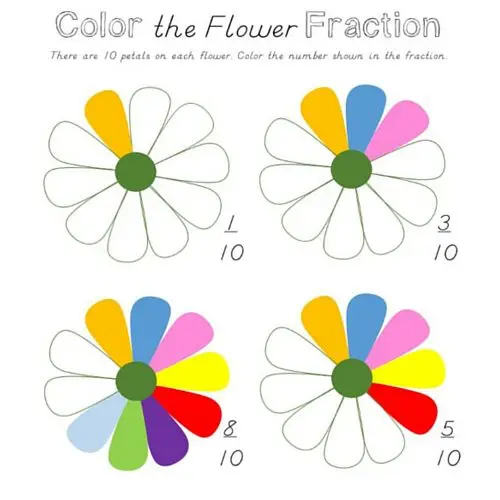 Spring Fractions