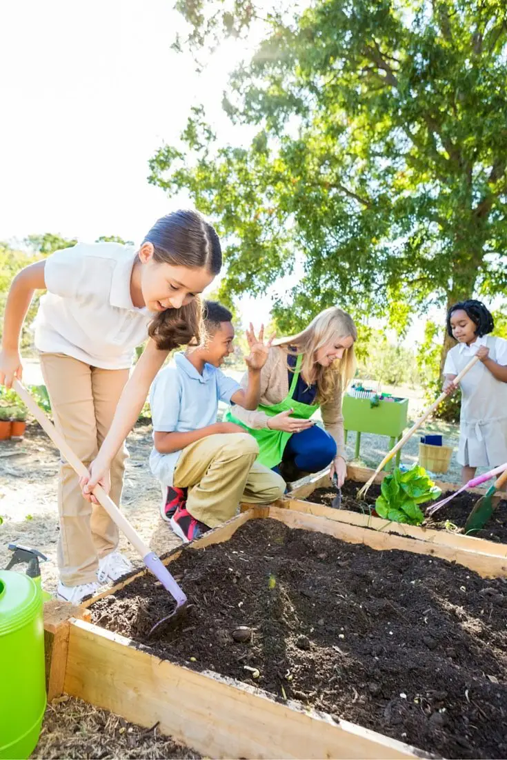 Pinterest What Makes a Successful Garden with Kids?