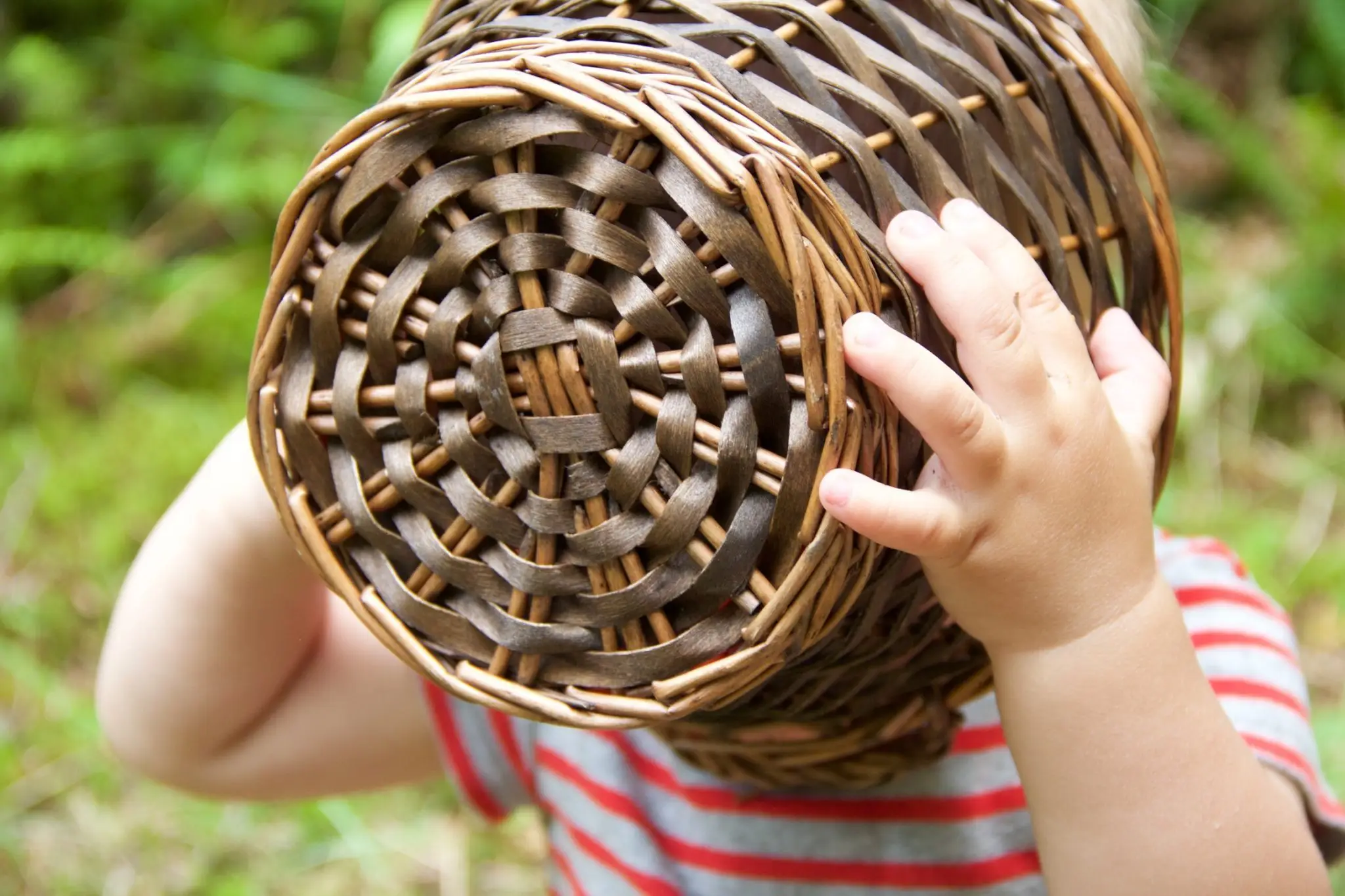 A child with his head in a basket