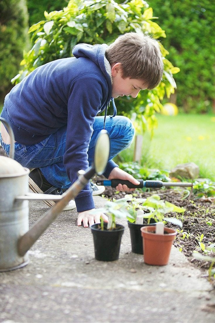 gardening with kids guide