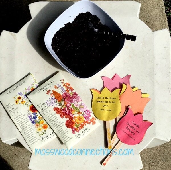 seeds activities for mom