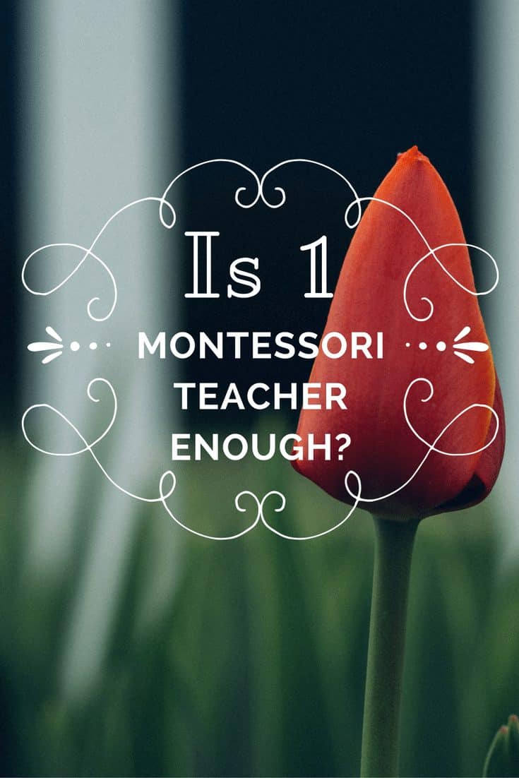 Is One Certified Lead Teacher Enough in a Montessori Classroom?