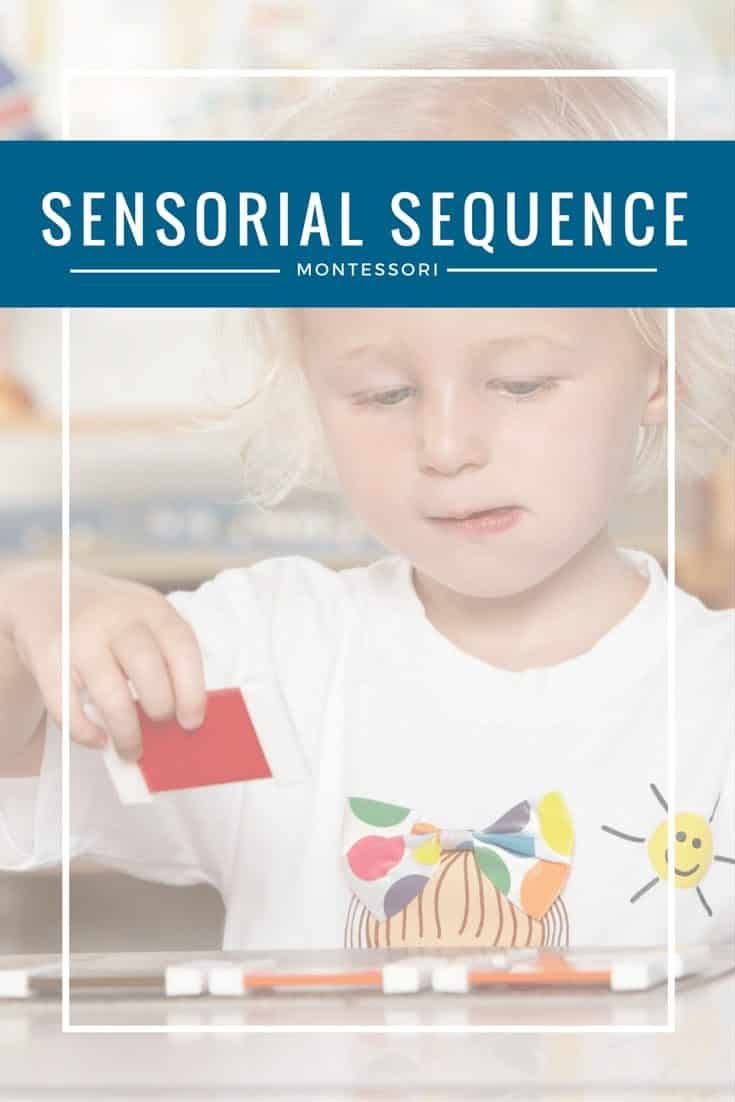 Montessori Sensorial Sequence