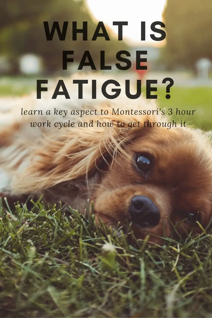 What is False Fatigue