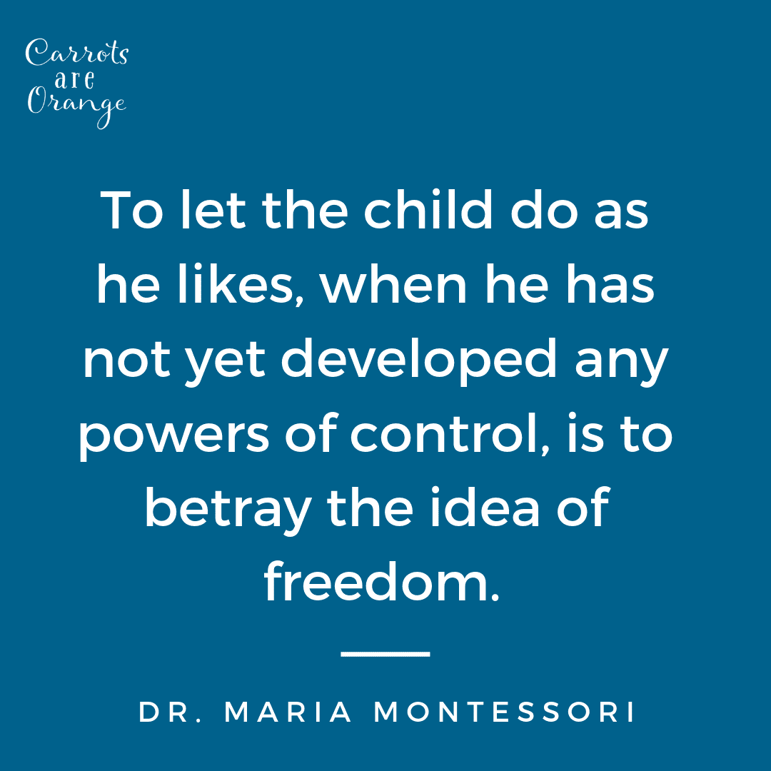 Quote about Montessori discipline