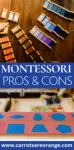 Explore Montessoris Pros Cons