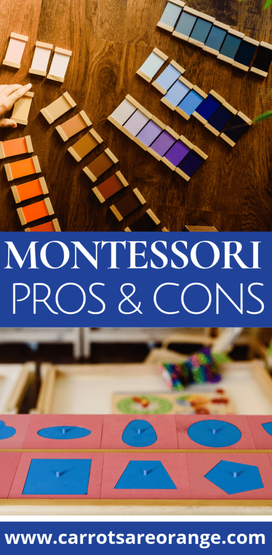 Explore Montessori's Pros & Cons