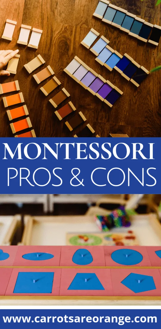 Explore Montessori's Pros & Cons