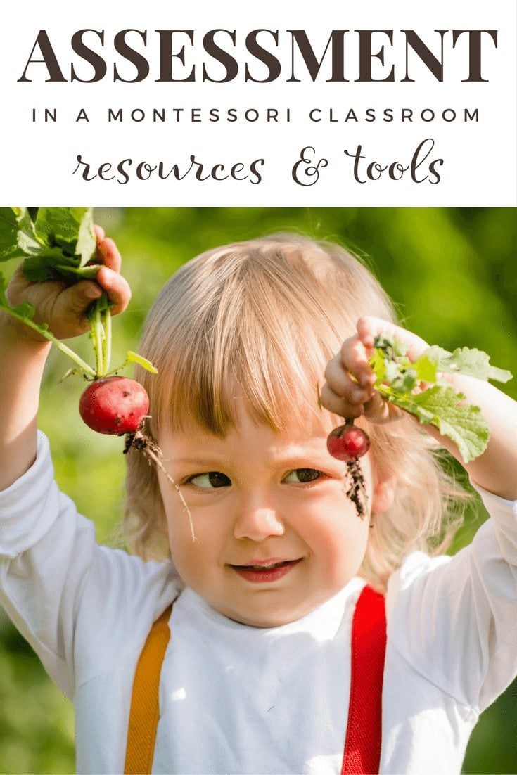 Assessment Resources for a Montessori Environment