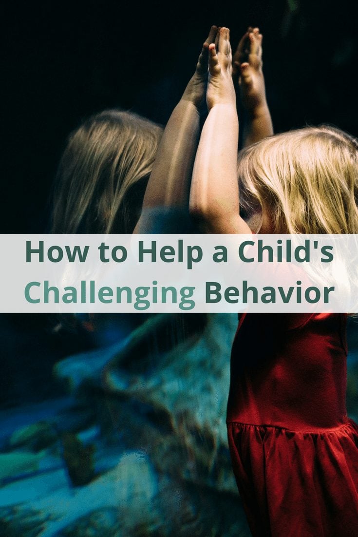 How to Help Your Child's Challenging Behavior (1)