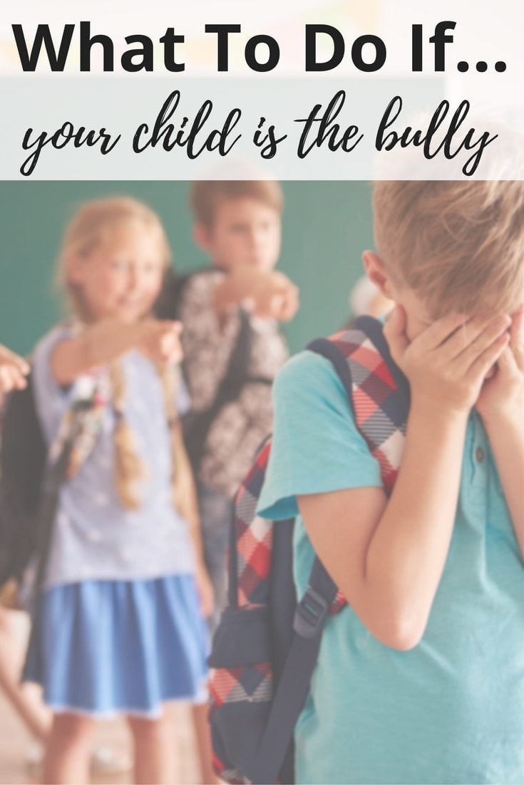 What To Do If Your Child is the Bully