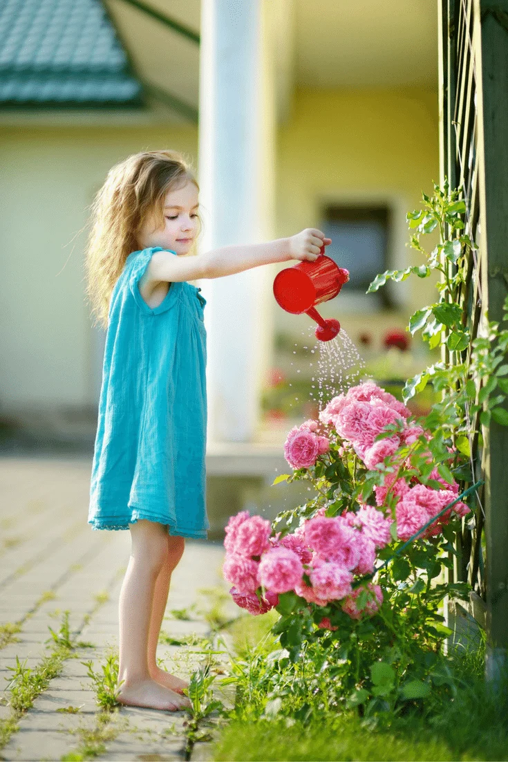 How to Determine the Right Chores by Age Such as a Preschooler Watering Plants