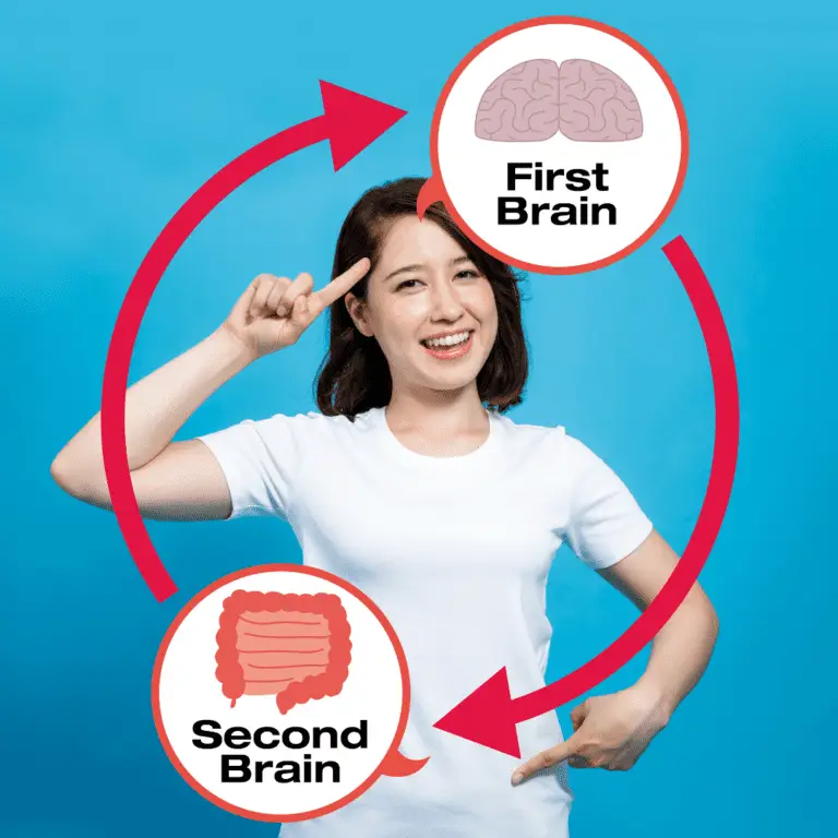 Gut to Brain Connection