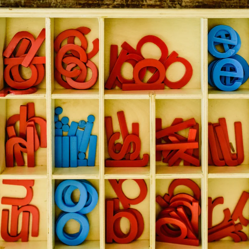 Montessori moveable alphabet (2)