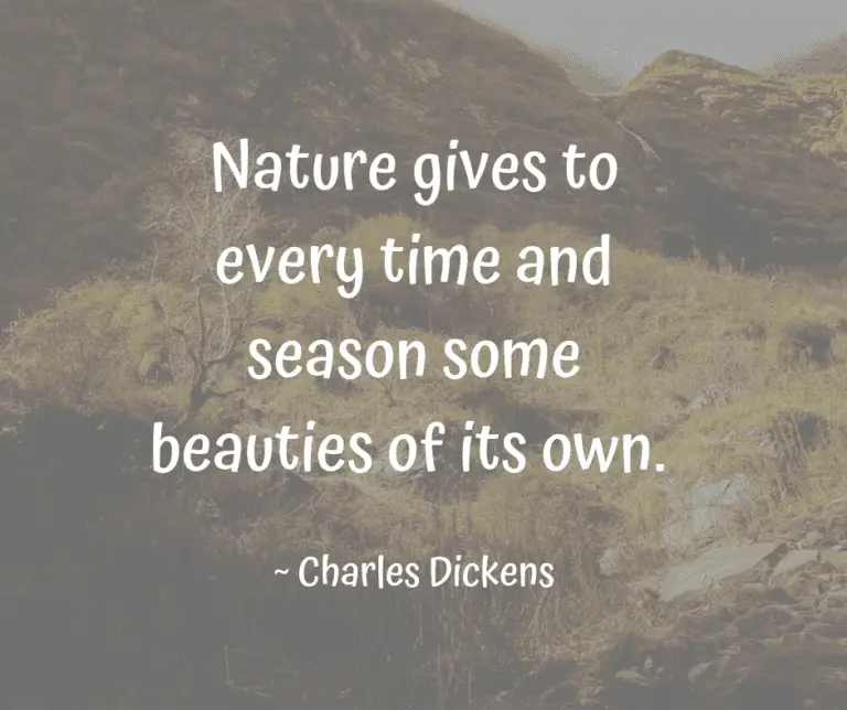Nature Quote by Charles Dickens