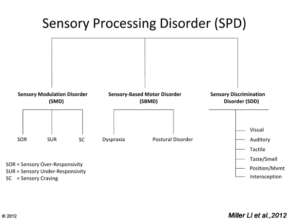 Types of Sensory Processing Disorders