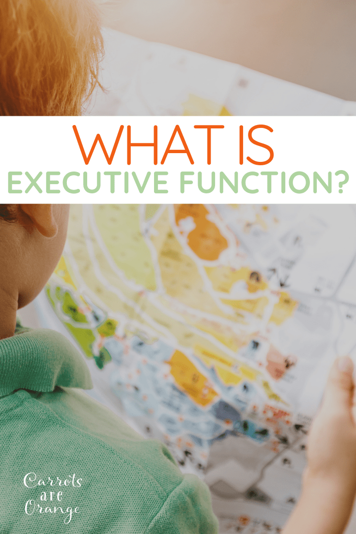 Help a child navigate the world with strong executive functioning skills.