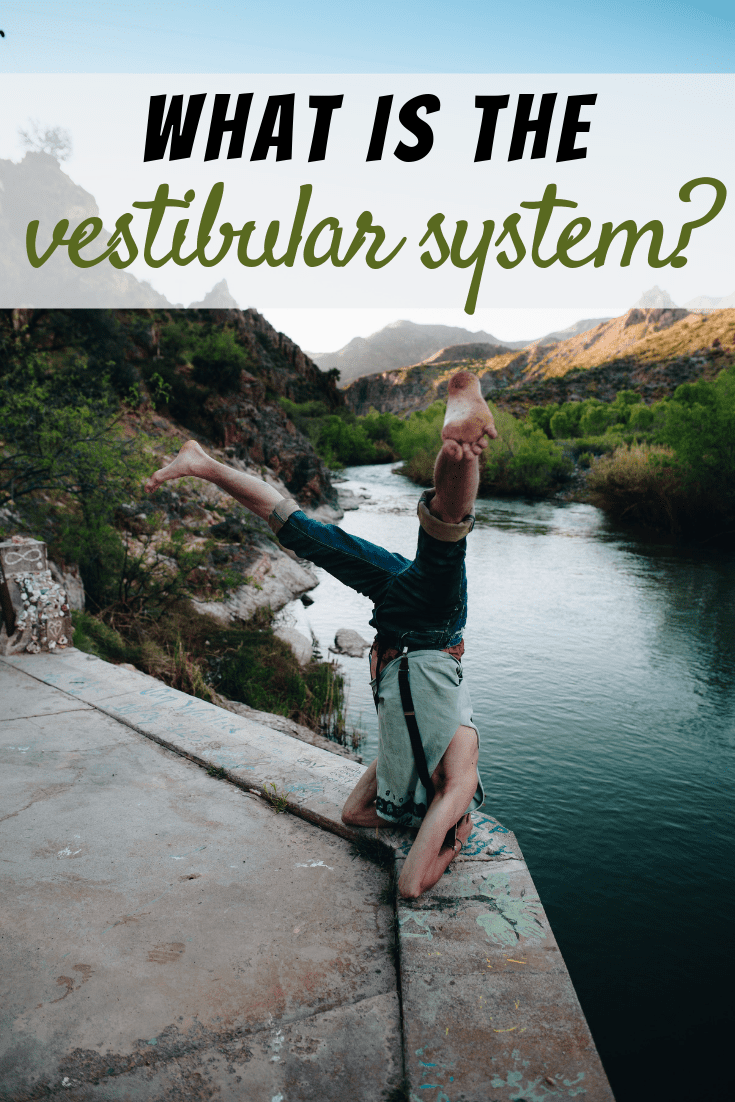 What is the Vestibular System