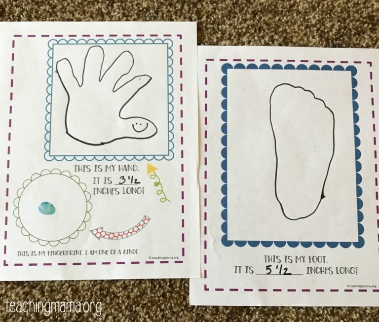 All About Me Preschool Theme Printables All About Me Activity Sheet