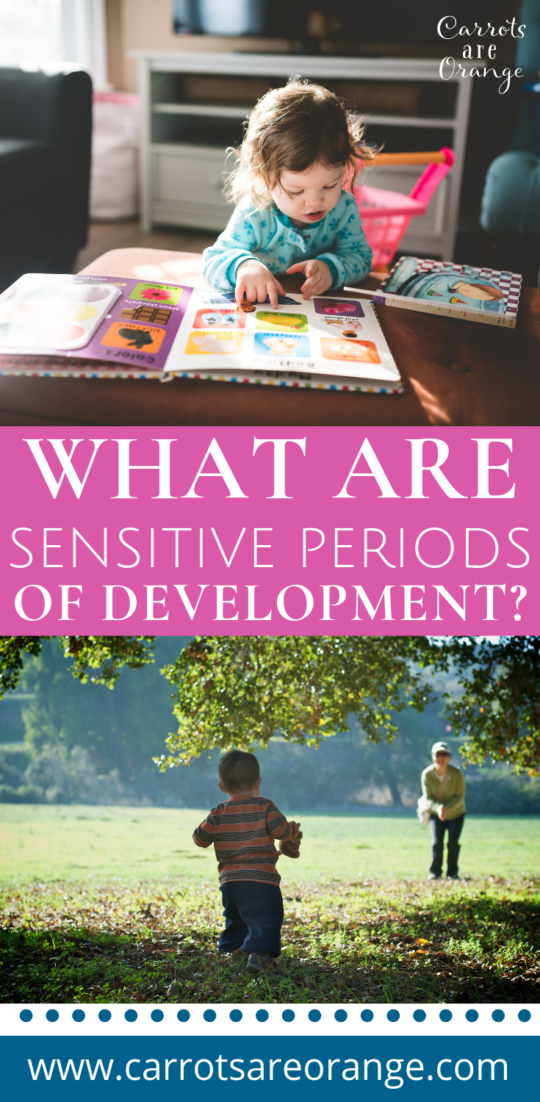 Learn about Montessori's Sensitive Periods of Development