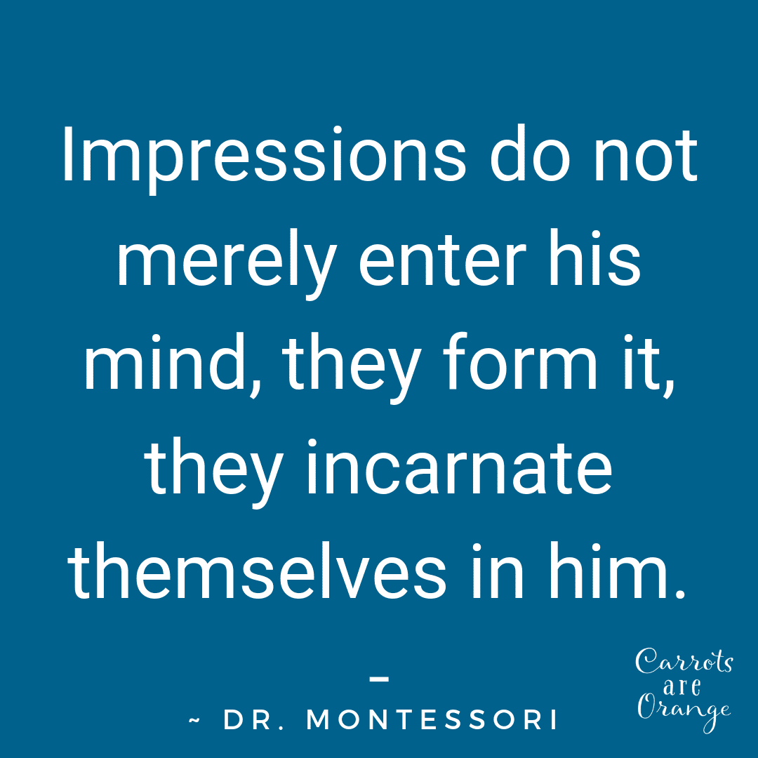 Montessori Quote - The Absorbent Mind