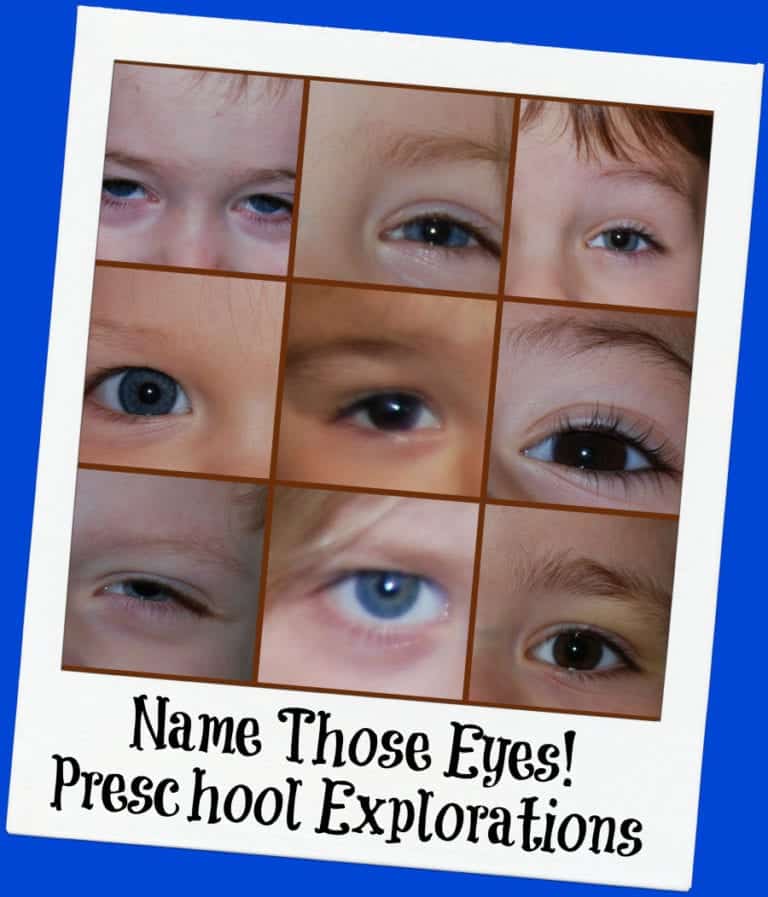 Exploring Eyes in Preschool