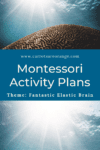 Montessori Activity Plans for Home Fantastic Elastic Brain Theme