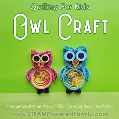 Quilled Owl Craft SQUARE