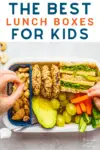 The Best Lunch Boxes for Kids