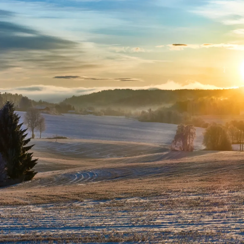 Winter Solstice Landscape