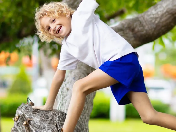 A young boy climbing a tree