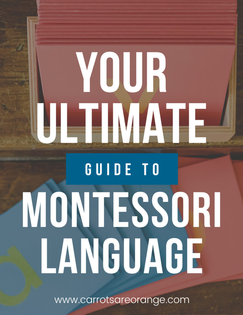 Your Ultimate Guide to Montessori Language