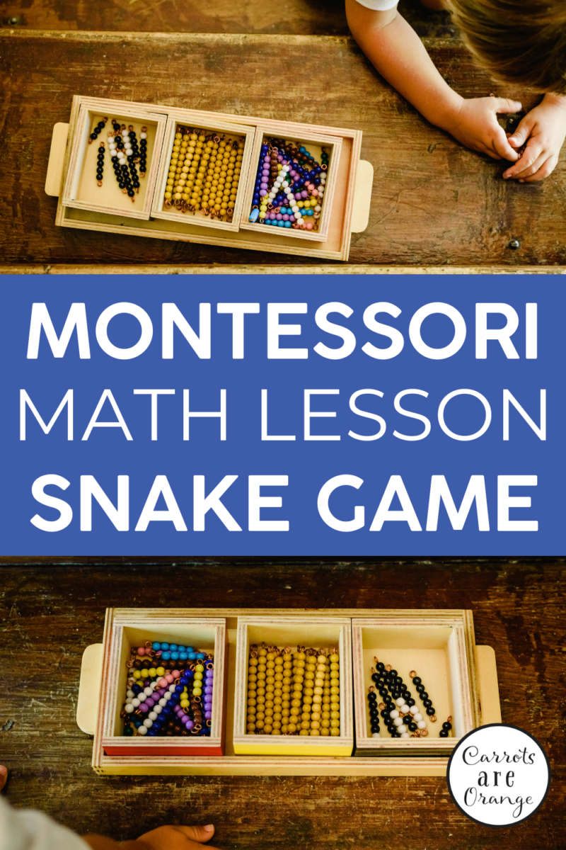 Montessori Math Snake Game Lesson
