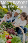 Montessori-Nature-Study
