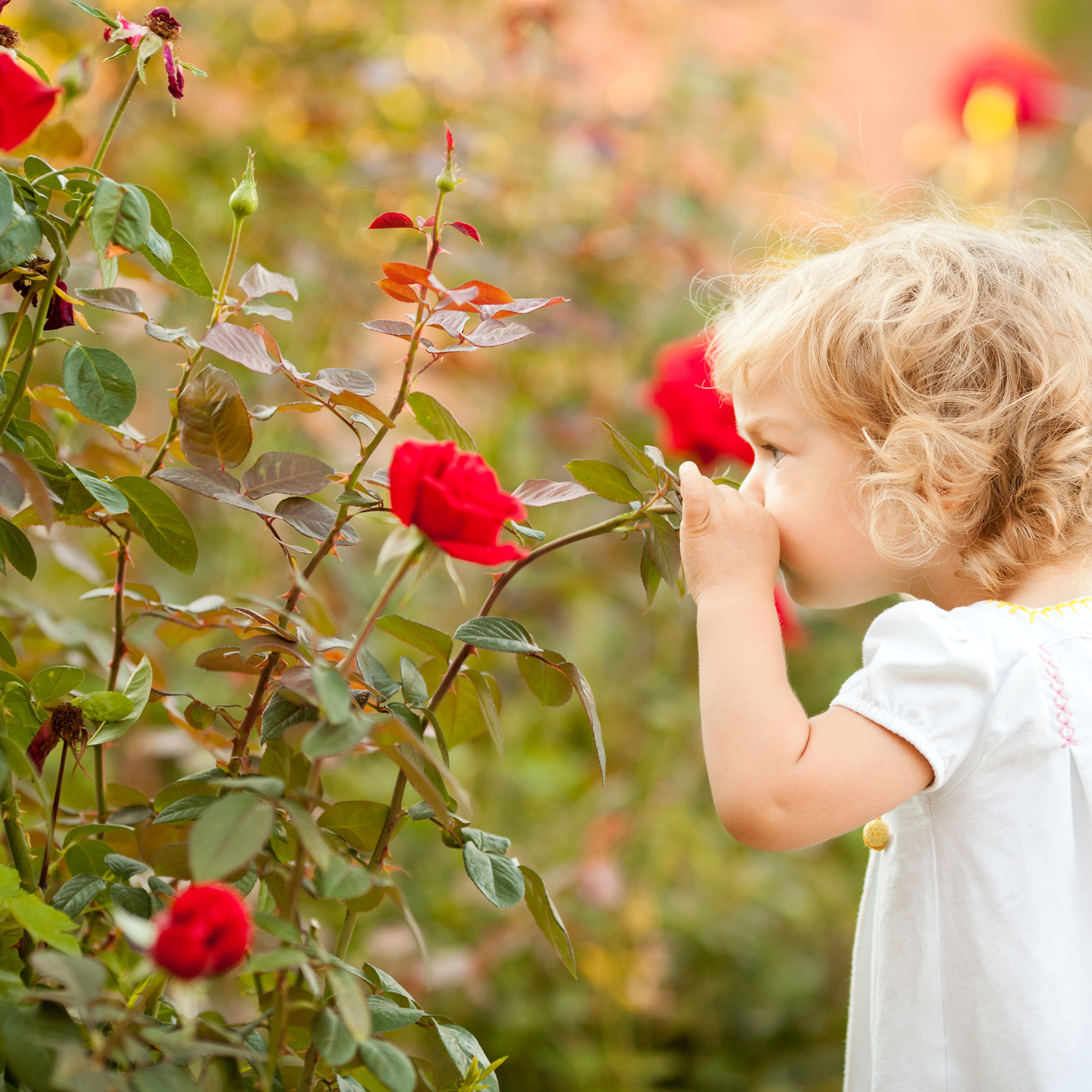 DIY Montessori Sensorial Smelling Bottles - A child smelling a flower 