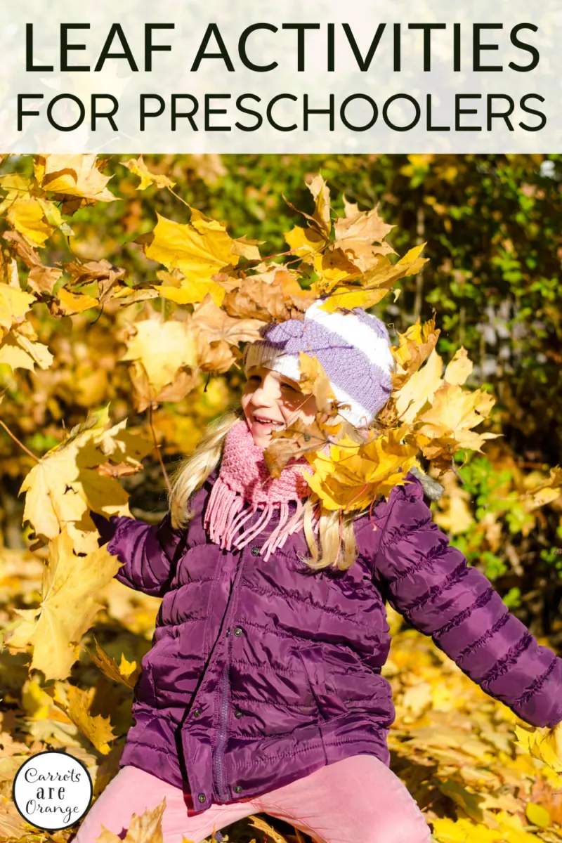 Montessori Leaf Activities for Preschoolers: Curiosity in Nature